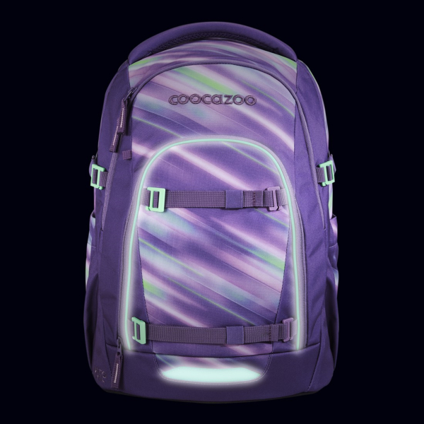 Coocazoo Schulrucksack MATE Arctic Lights